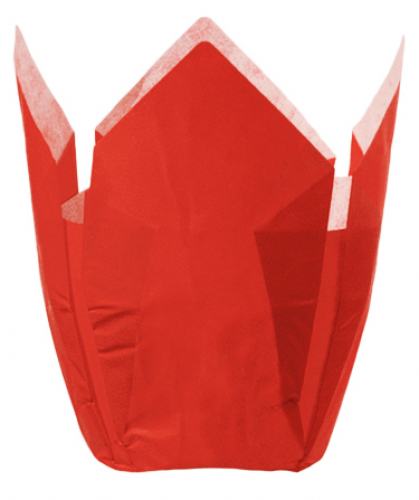 Tulip - Backkapseln rot Ø 5,0 cm
