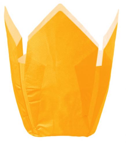 Tulip - Backkapseln gelb Ø 5,0 cm
